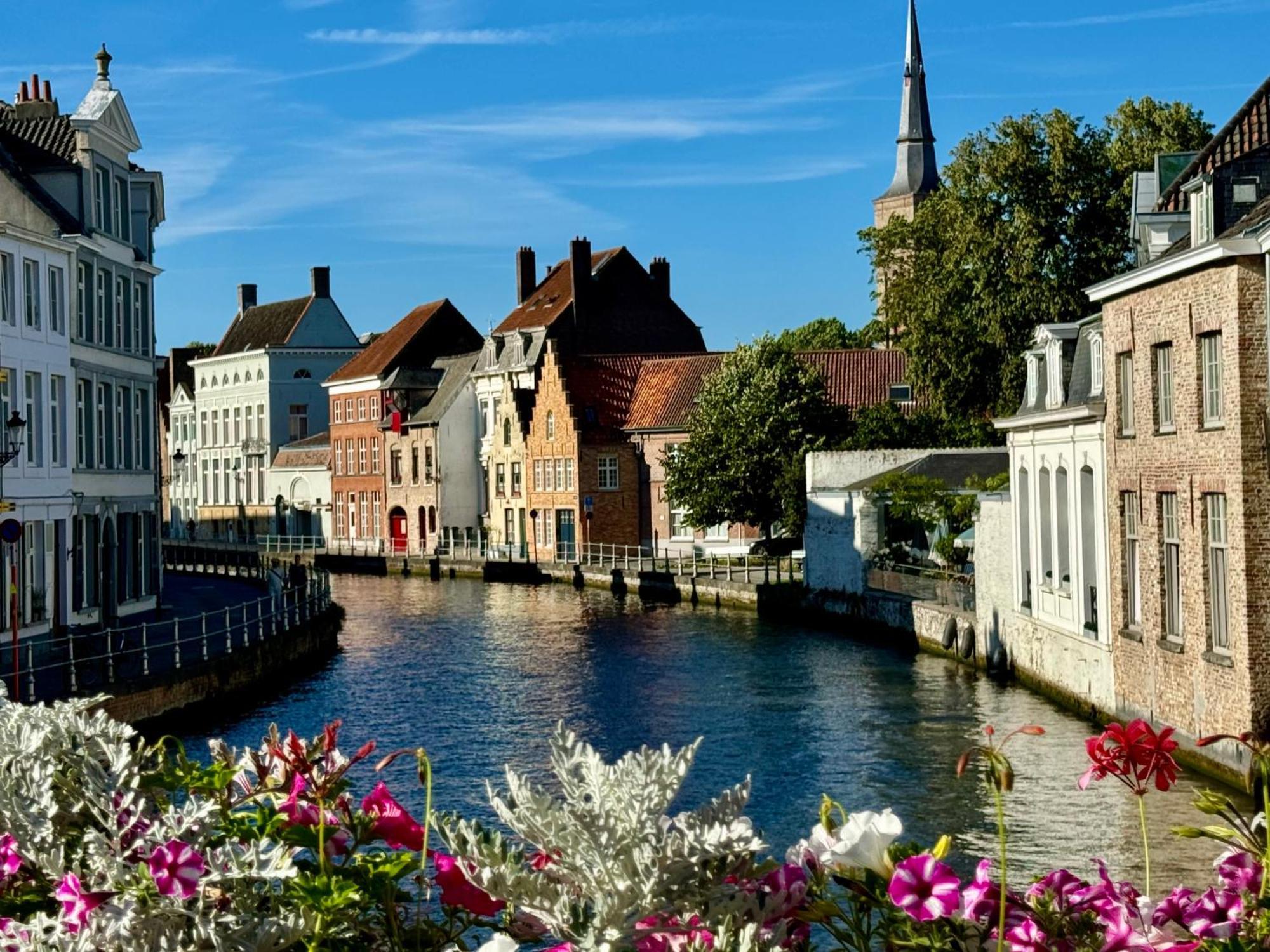 Sleeping Swan Bed & Breakfast Bruges Exterior photo